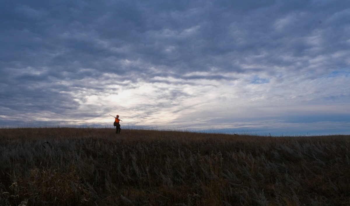 Minnesota Regional Representative Chance Steward walks a parcel of new publicly accessible land in Lyon county in the fall of 2023. (Photo by Dave Schwarz) 500 Projects 1